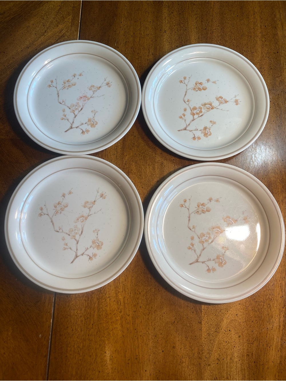 Corelle/ Cornerstone China Blossom 8.5”Plates Set of 4